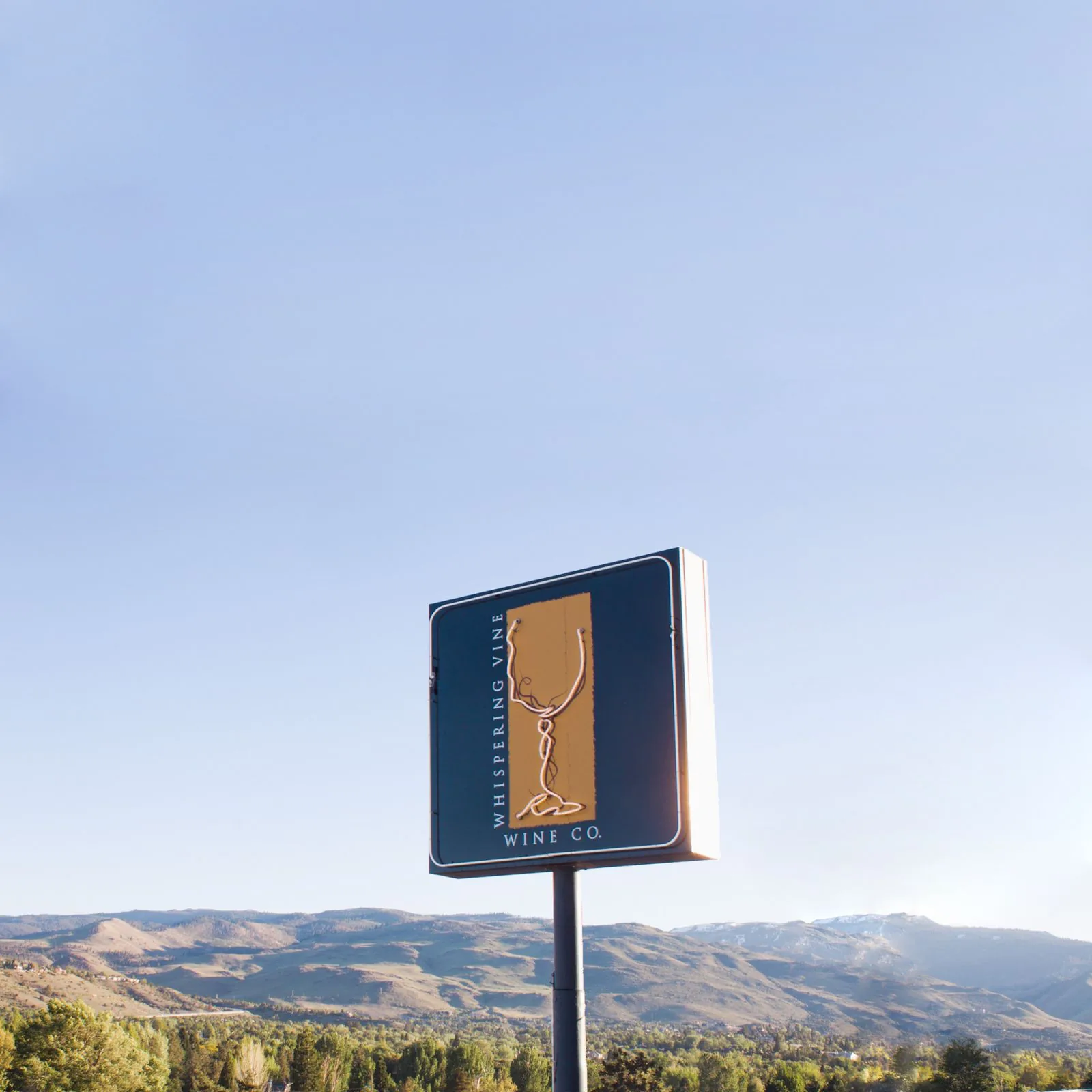 Wrapped wine bottle and glasses on a tasting table in Reno